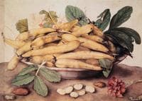 Still Life with Beans
