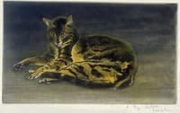 Cat on the Floor