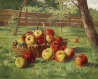 Apples