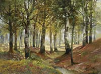 Sunlit Woodland