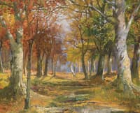 Forest in Autumn
