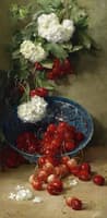 Cherries