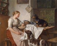 Feeding the dogs