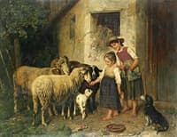 Feeding The Sheep
