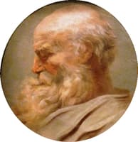 Head of an Old Man