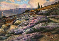 Dalmatian landscape