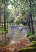 The Duck Pond on Heathcote Road