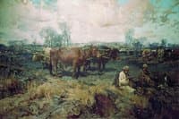 The Plough Field