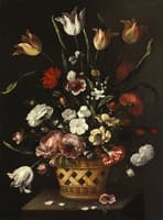 Still Life