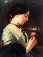 An English Rose