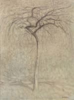 The lonely tree
