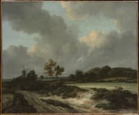Grainfields