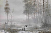 Morning in the Forest