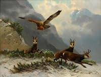 Eagles and wild goats in the mountains