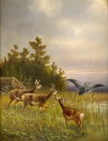 Deer and Herron