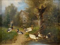 At the duck pond