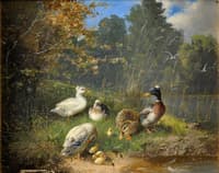 Family of ducks on the river bank