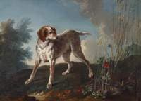 A Pointer and Partridges