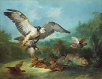 Hawk Attacking Partridges and a Rabbit