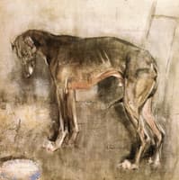 The Greyhound