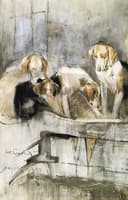 Foxhounds - Gingling Gate