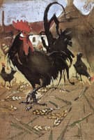 Black Spanish Cock