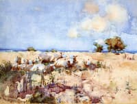 Sheep in a Meadow