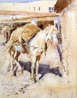 A Moorish Packhorse