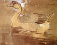 The Chinese Goose