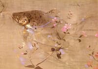 A Trout Rising