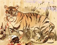 The Tiger