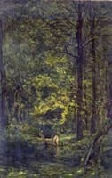 Sous-bois