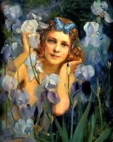 Wood Nymph Among Irises