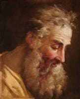 Study of the Head of an Old Bearded Man