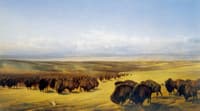 The Gathering of the Herds