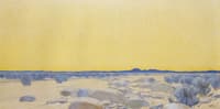 Desert Sunset