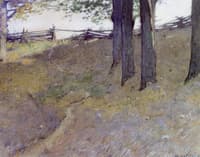Trees on a Hillside