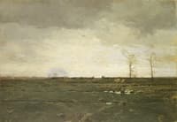 The Meadows