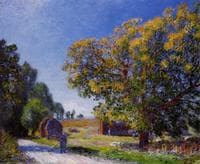 Fields around the Forest