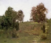 The Old Pasture Swale