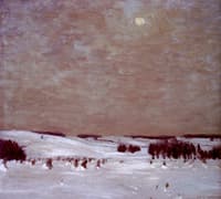 The Winter Moon