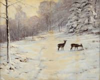 Forest Glade in Winter