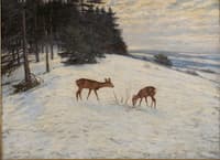 Winter Landscape
