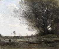 The Beech Tree