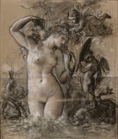 The Birth of Venus