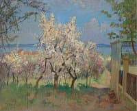 Trees in Bloom