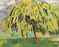 Pear Tree