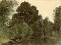 The Fish Pond at Saint-Nicolas-lez-Arras