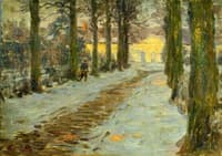 Pathway with Trees in Winter (Botanical Gardens)
