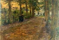 Pathway with Trees (Botanical Gardens)
